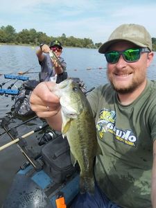 Largemouth Bass
