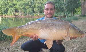 Mirror Carp
