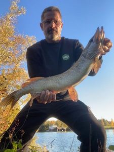 Northern Pike