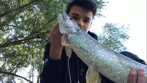 Northern Pike