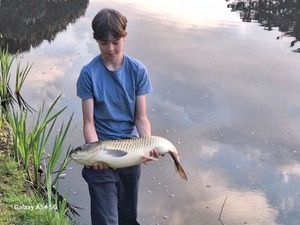 Grass Carp