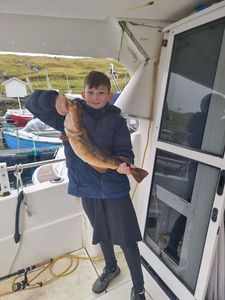 Pacific Cod