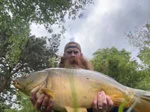 Mirror Carp