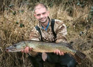 Northern Pike
