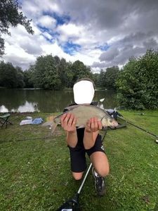Common Bream