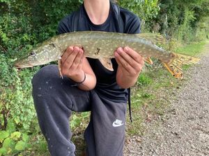 Northern Pike