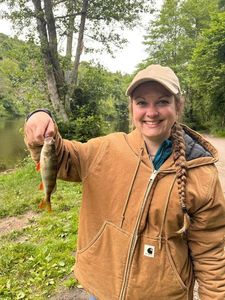 European Perch