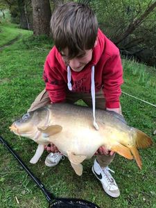 Mirror Carp