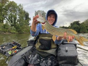 Northern Pike