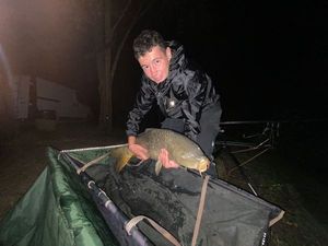 Common Carp