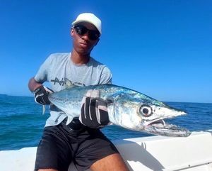 Pacific Sierra Mackerel