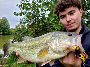 Largemouth Bass