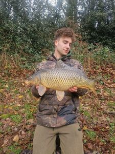 Common Carp