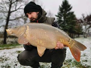 Mirror Carp