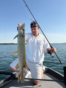 Northern Pike