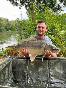 Mirror Carp