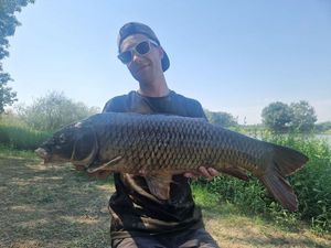 Common Carp