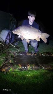 Mirror Carp