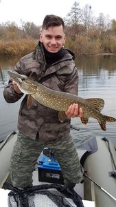 Northern Pike