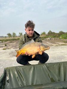 Mirror Carp