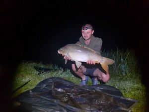 Mirror Carp