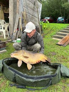 Mirror Carp