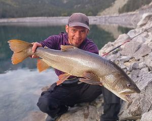 Lake Trout