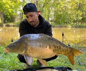 Mirror Carp