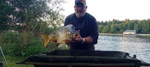 Mirror Carp