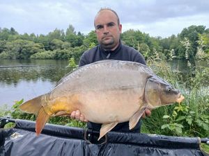 Mirror Carp