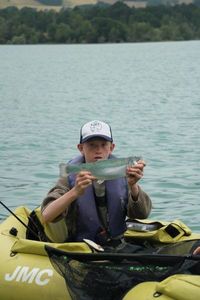 Rainbow Trout