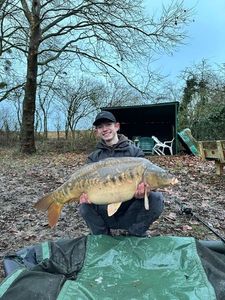 Mirror Carp