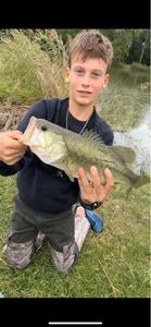 Largemouth Bass