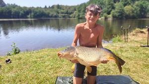 Common Carp