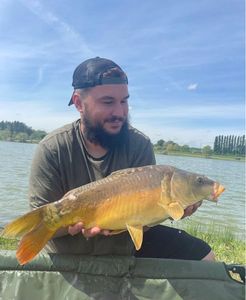 Mirror Carp
