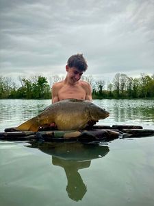 Mirror Carp