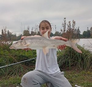 Barbel