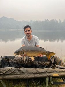 Mirror Carp
