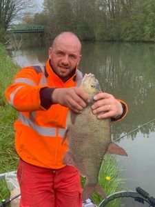 Common Bream