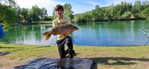Mirror Carp