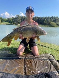 Mirror Carp