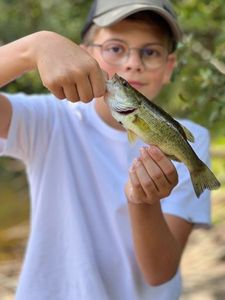 Smallmouth Bass