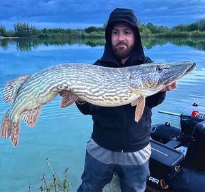 Northern Pike