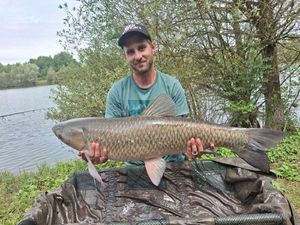 Grass Carp