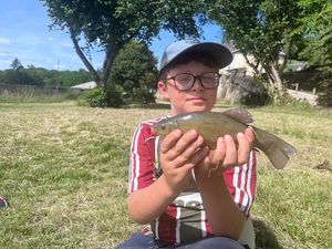 Tench