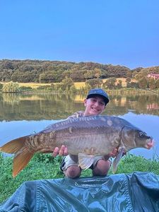 Mirror Carp