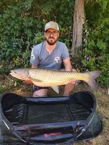Grass Carp