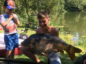 Mirror Carp