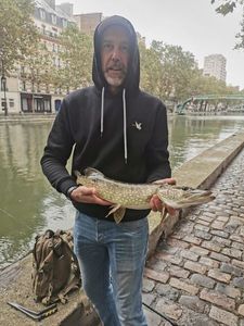 Northern Pike