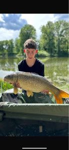 Common Carp